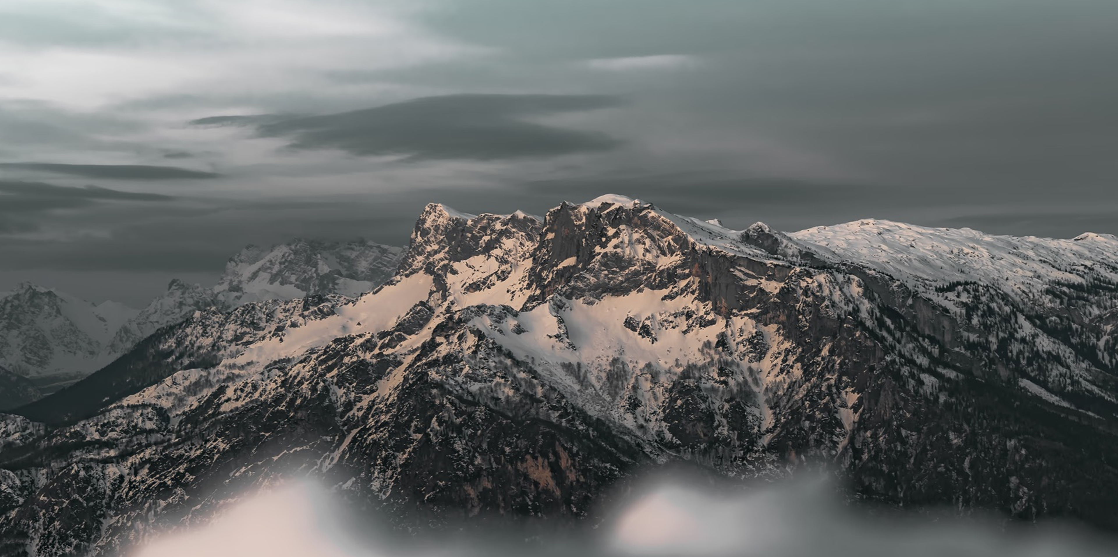 Banner Montanea