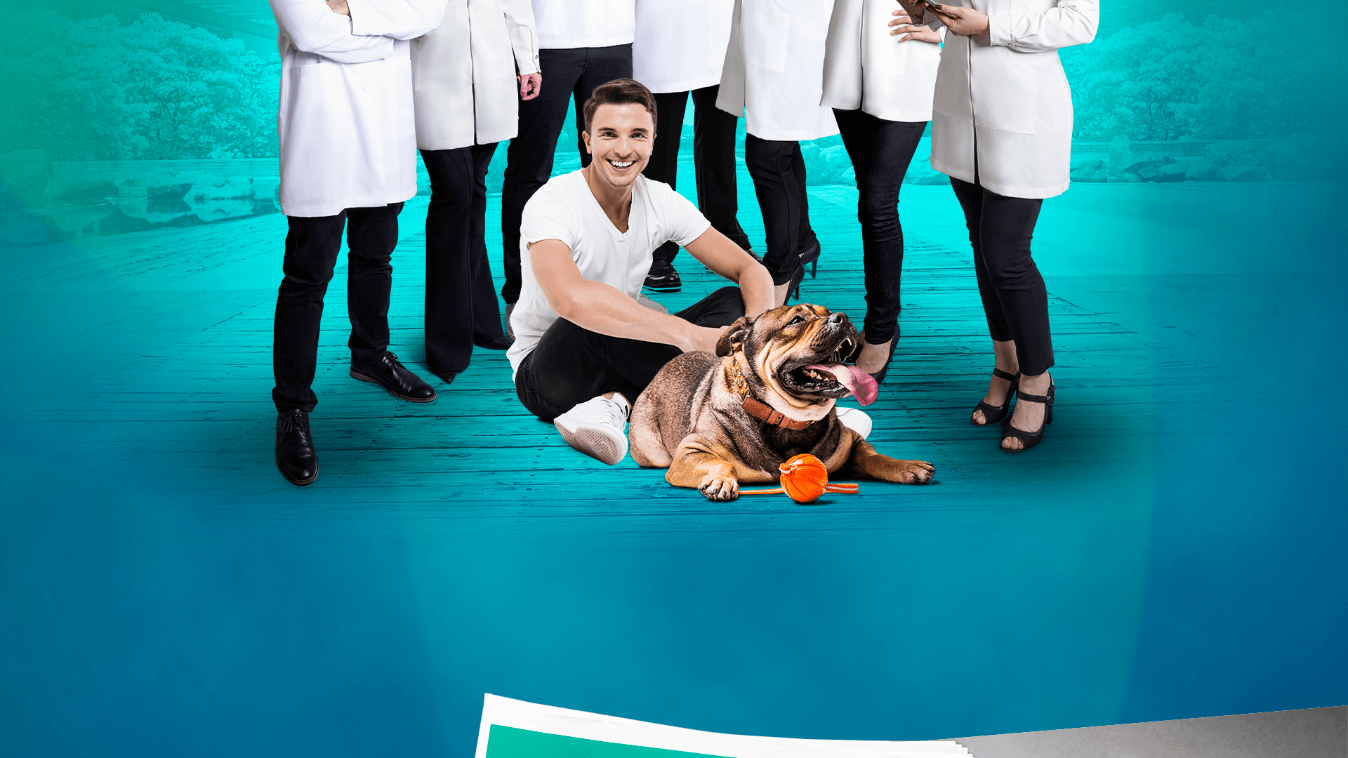 Ninho Hospital Veterinário